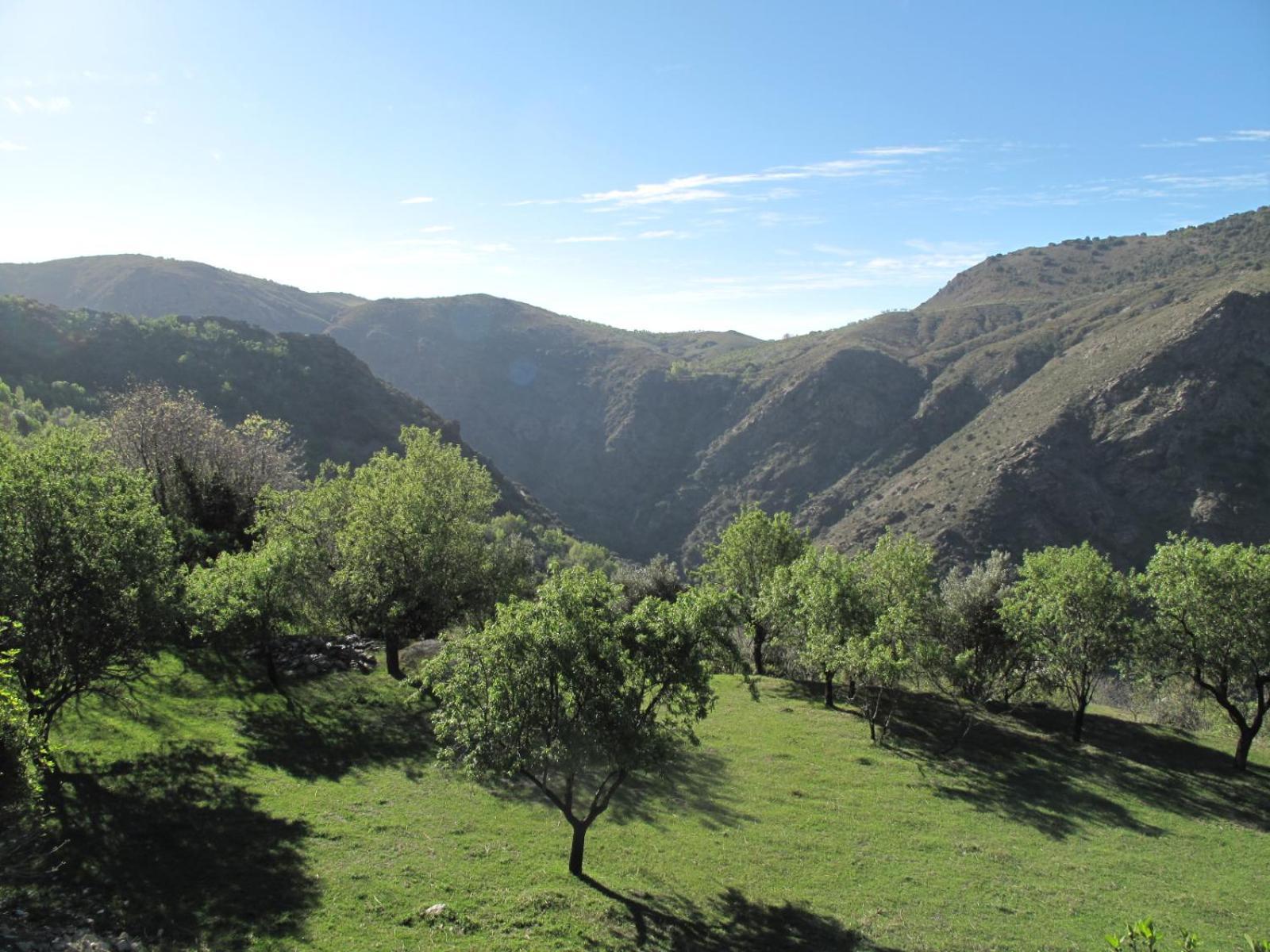 Rural House, Heated Pool & Steam Room, Casa Aloe. Atalbeitar Exterior photo